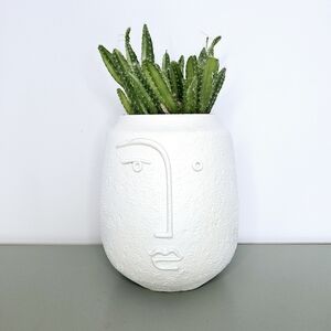 Modern Face Plant Pot
